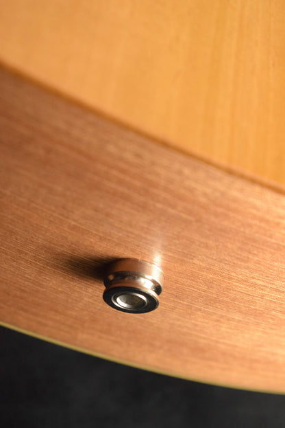 Taylor 24ce Mahogany Top Natural