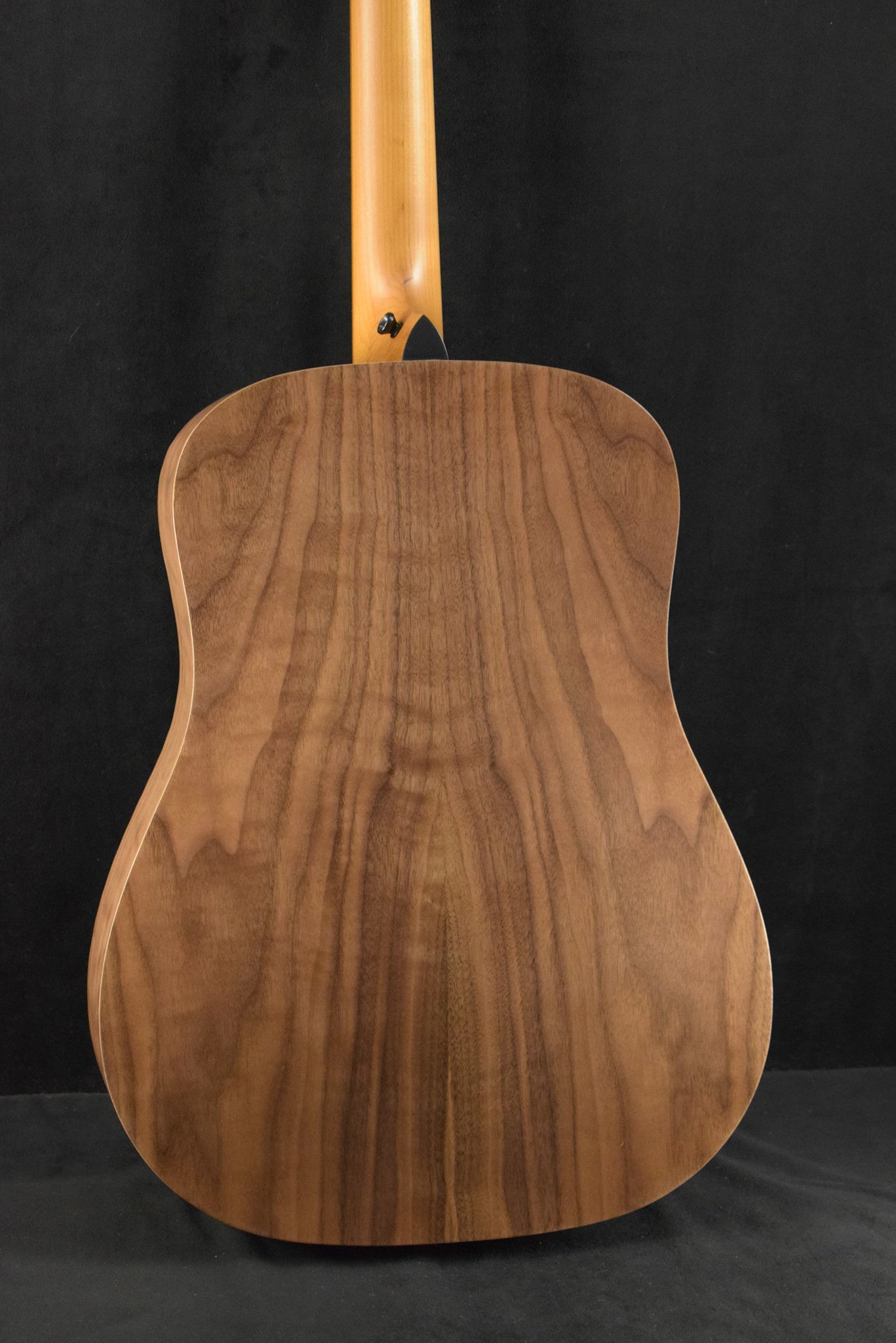 Taylor Academy 10e Dreadnought Walnut/Torrefied Spruce Natural