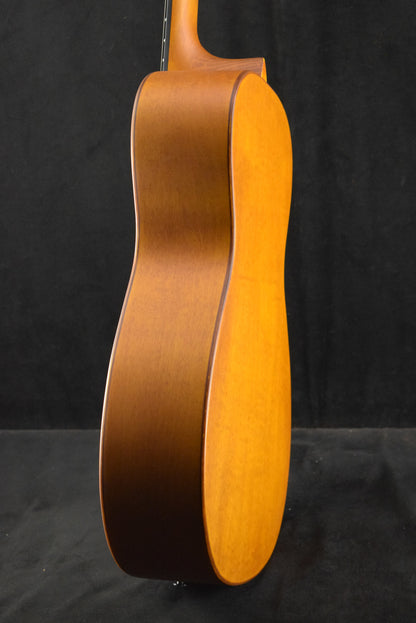 Epiphone Dobro Hound Dog Round Neck Vintage Brown