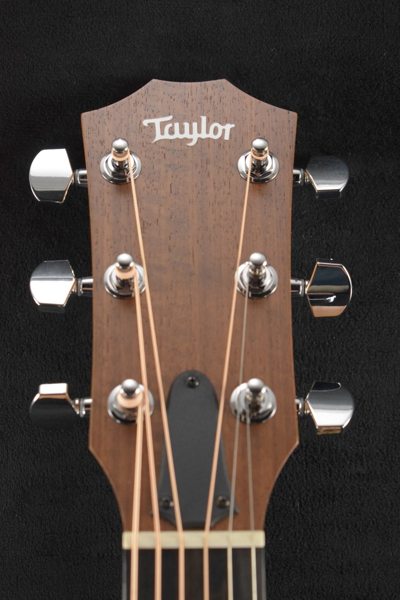 Taylor Academy 12e Natural