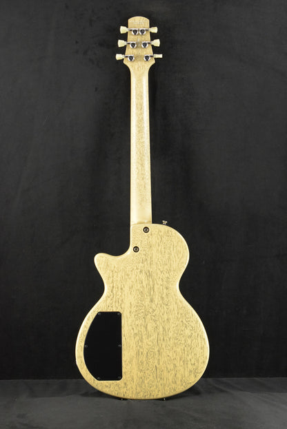 Tom Anderson Bobcat Cub TV Yellow with Black Dog Hair