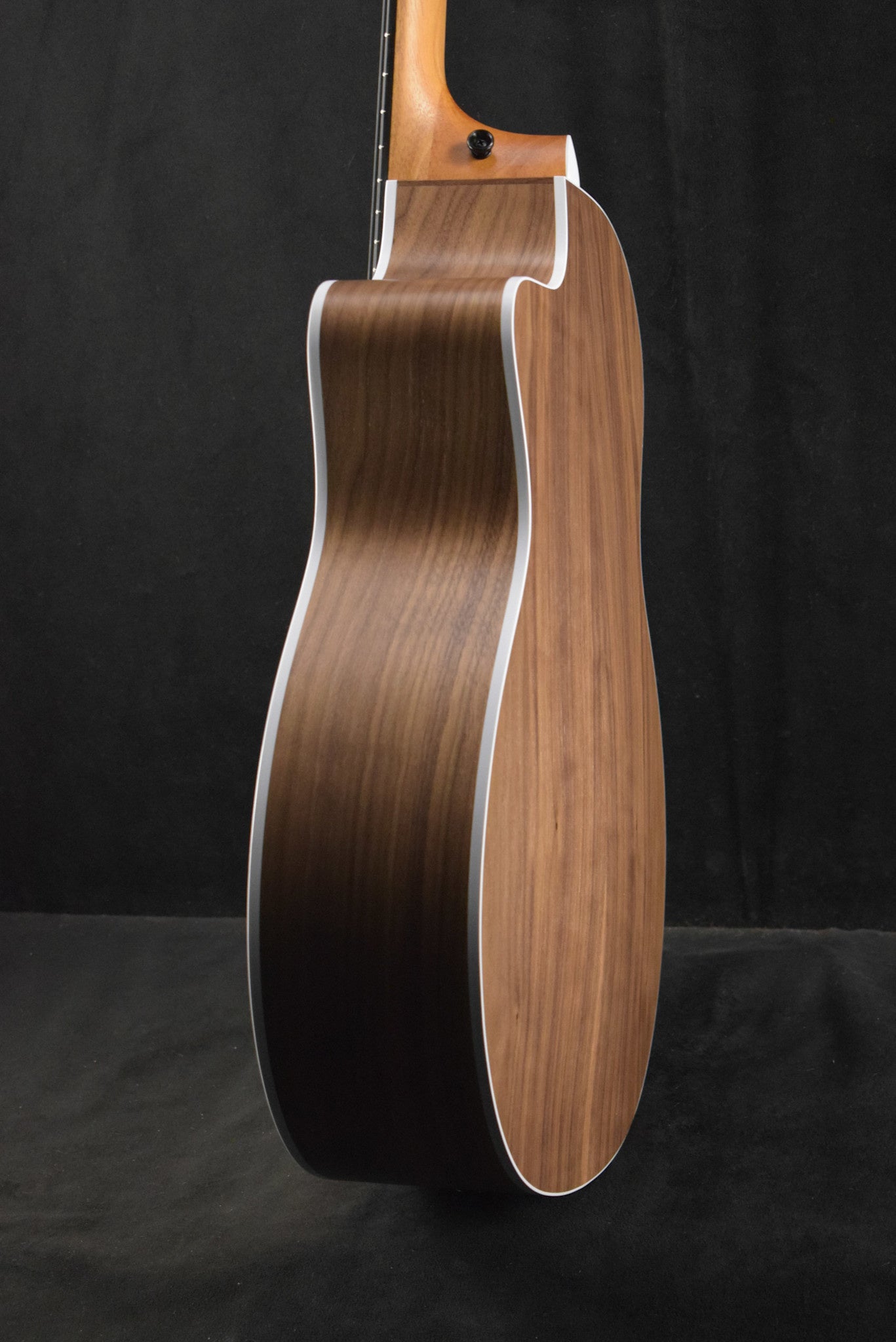 Taylor 214ce-N Nylon-String Natural