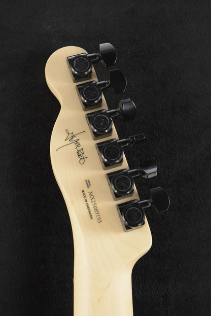 Fender Jim Root Telecaster Flat White Ebony Fingerboard