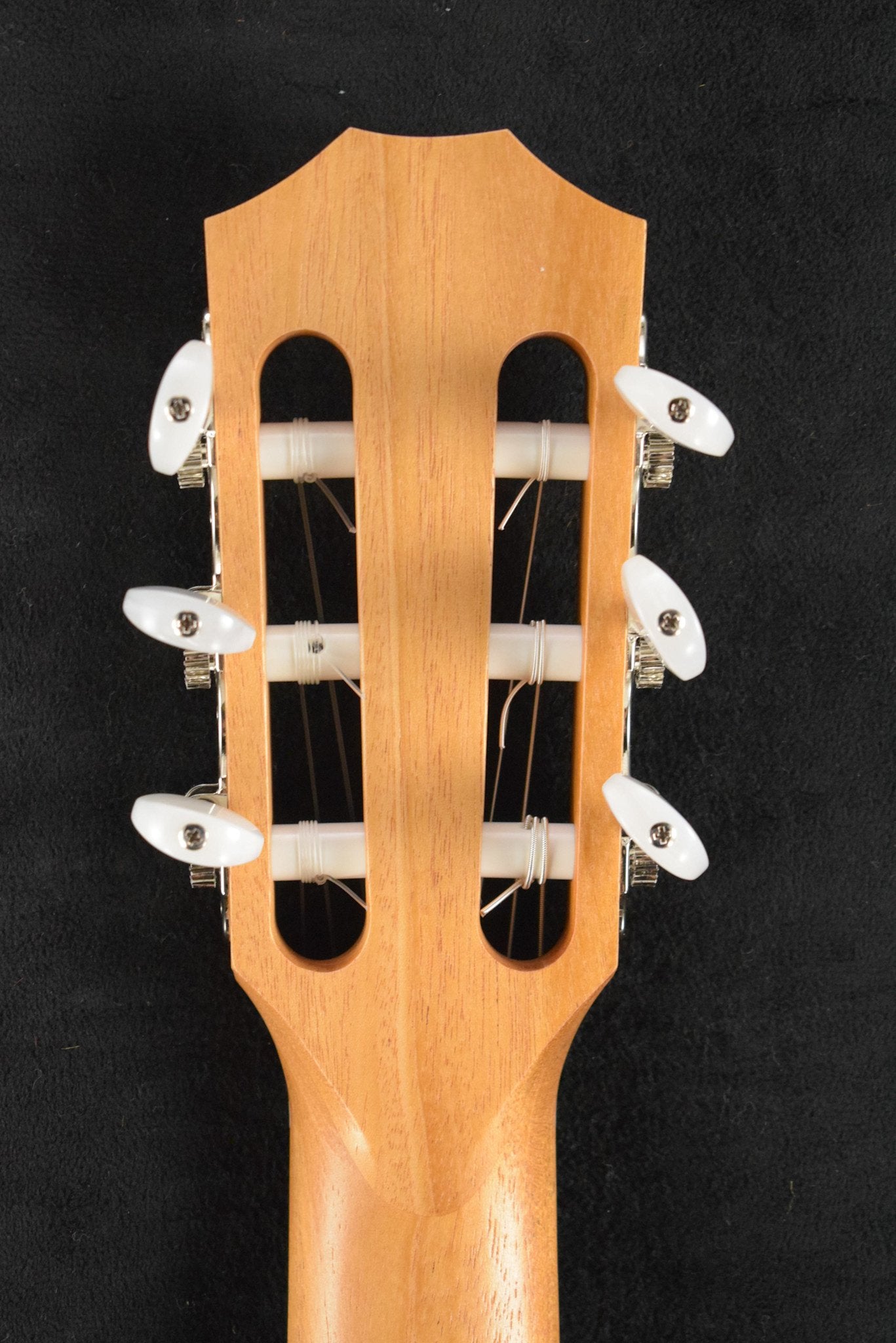 Taylor 214ce-N Nylon-String Natural