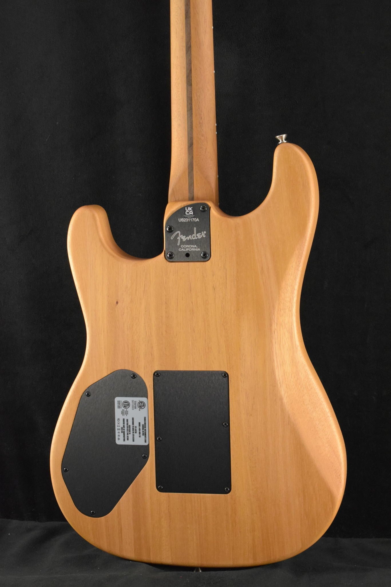 Fender Limited Edition American Acoustasonic Stratocaster USA Flag