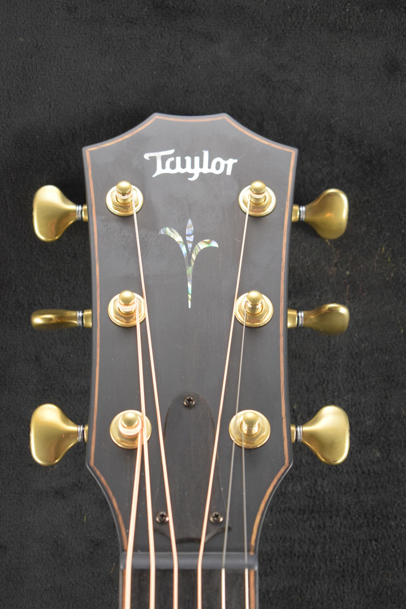 Taylor Builder's Edition K24ce Silent Satin