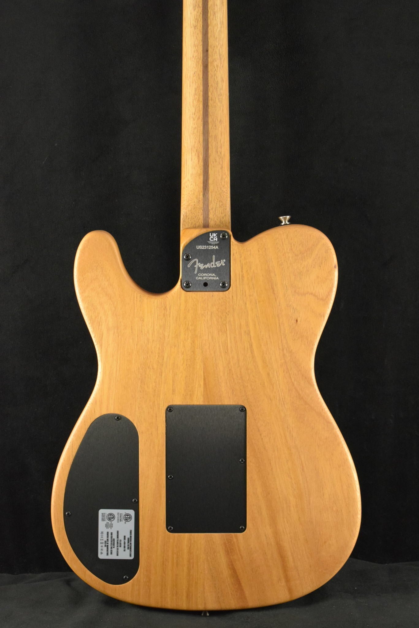 フェンダーUSA AmericanAcostasonicStratocaster Fender Limited Edition American Acoustasonic Telecaster USA Flag