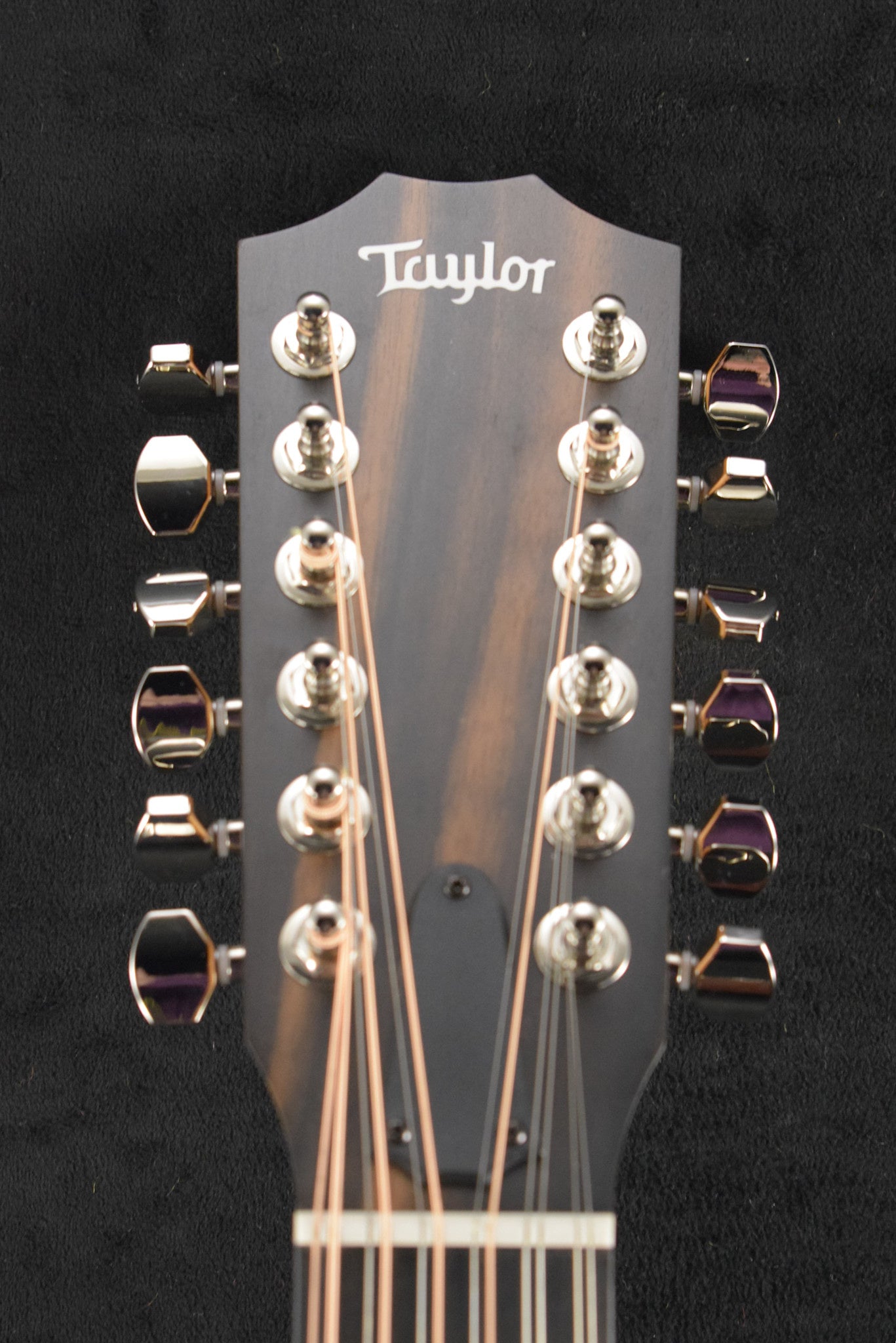 Taylor 254ce Plus 12-String Natural
