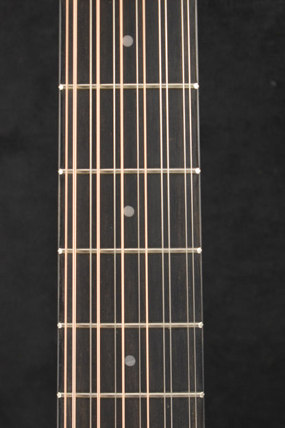 Taylor 254ce Plus 12-String Natural