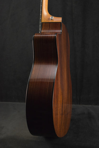 Taylor 254ce Plus 12-String Natural