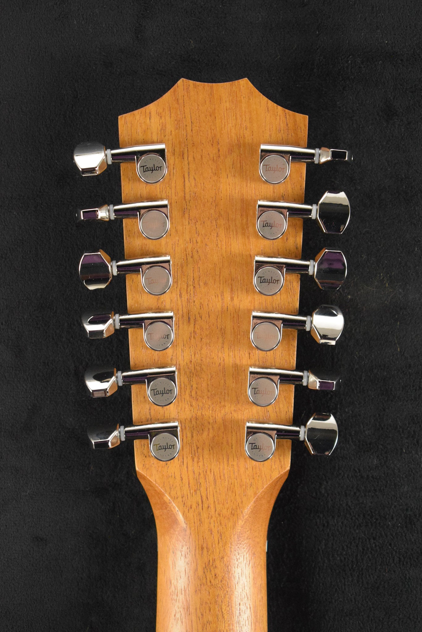 Taylor 254ce Plus 12-String Natural