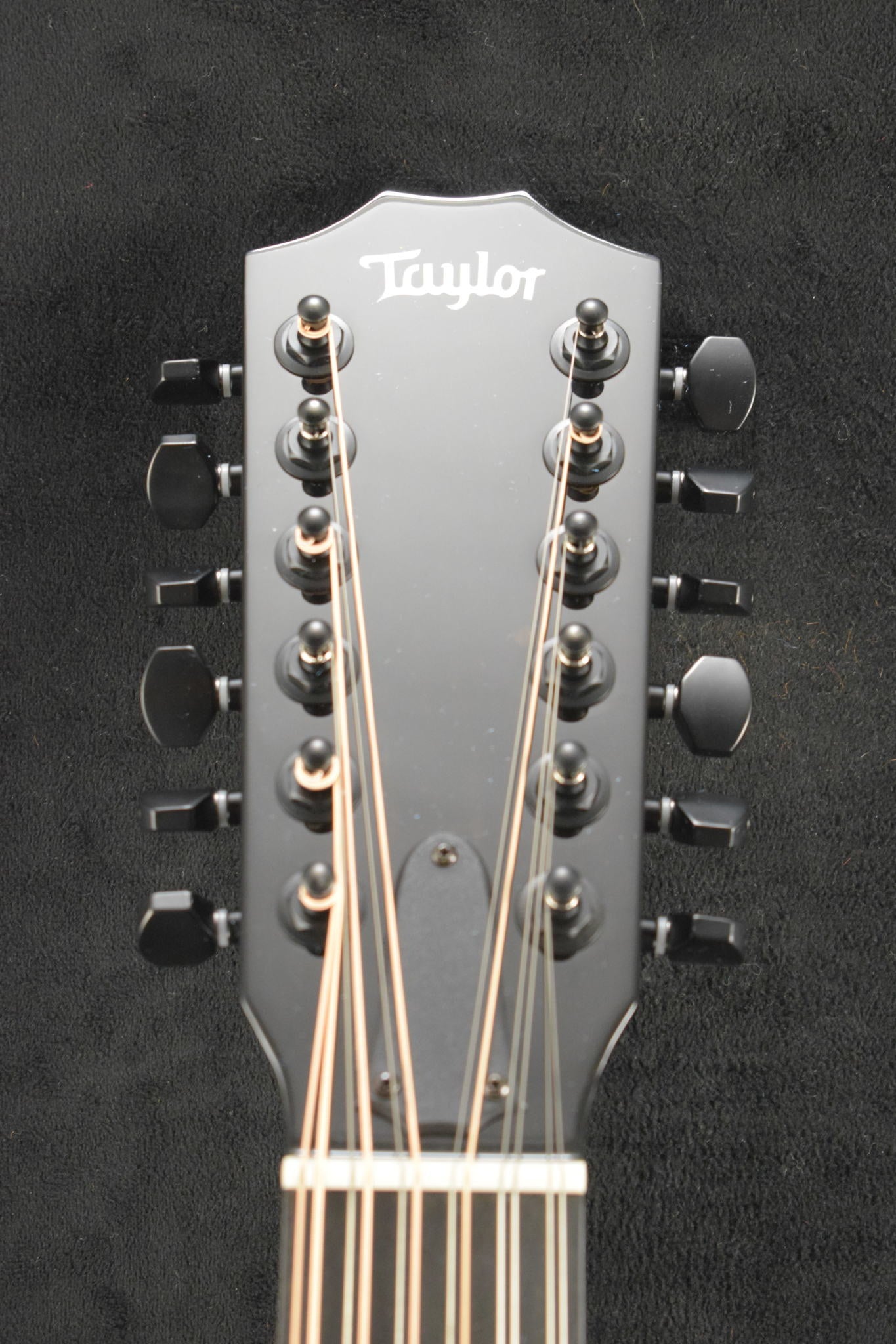 Taylor 250ce-BLK Plus 12-String Black