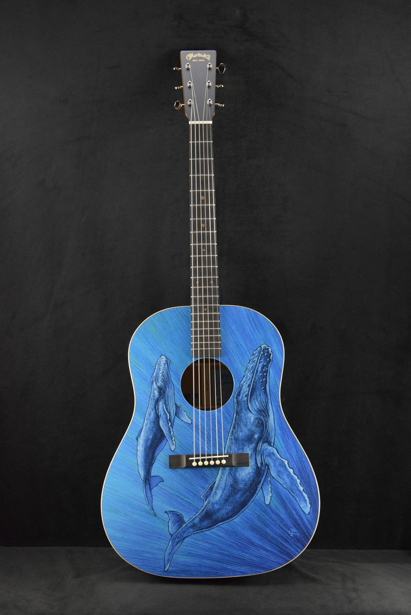 Martin DSS Biosphere® II