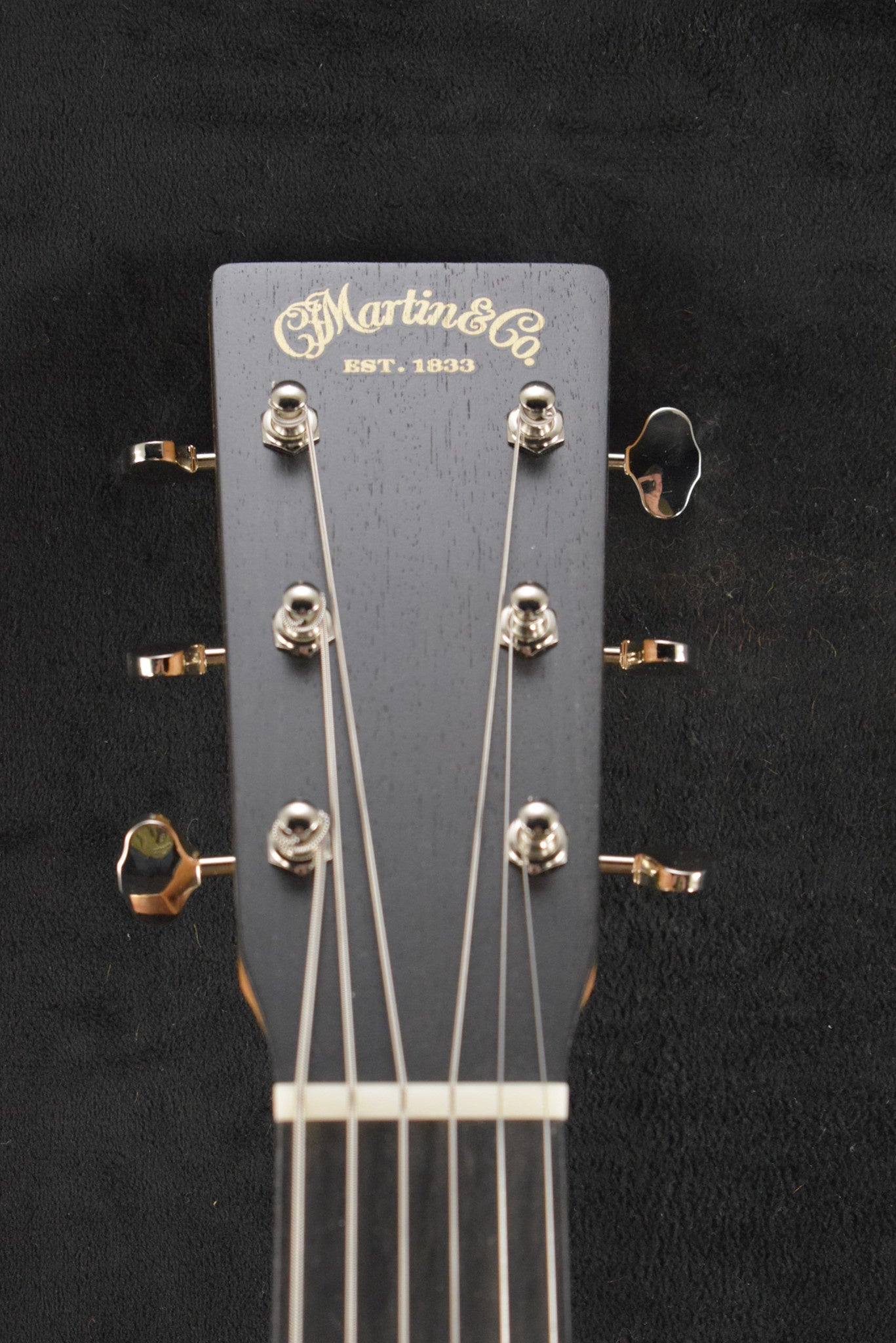 Martin DSS Biosphere® II