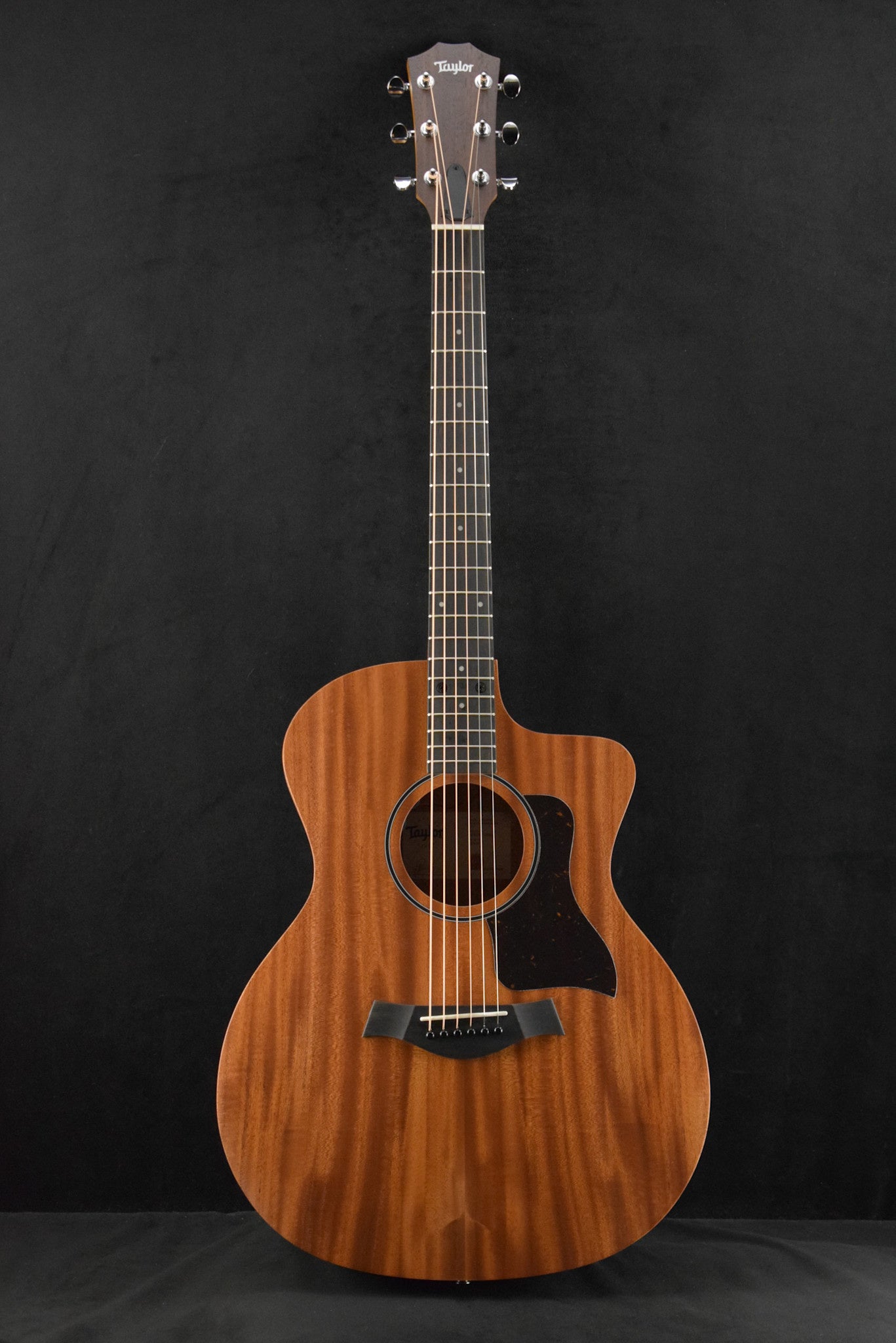 Taylor 24ce Mahogany Top Natural