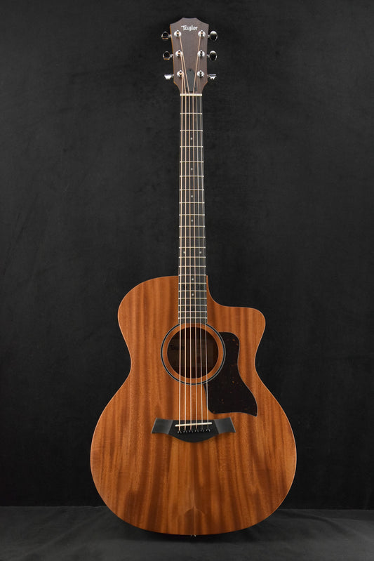Taylor 24ce Mahogany Top Natural