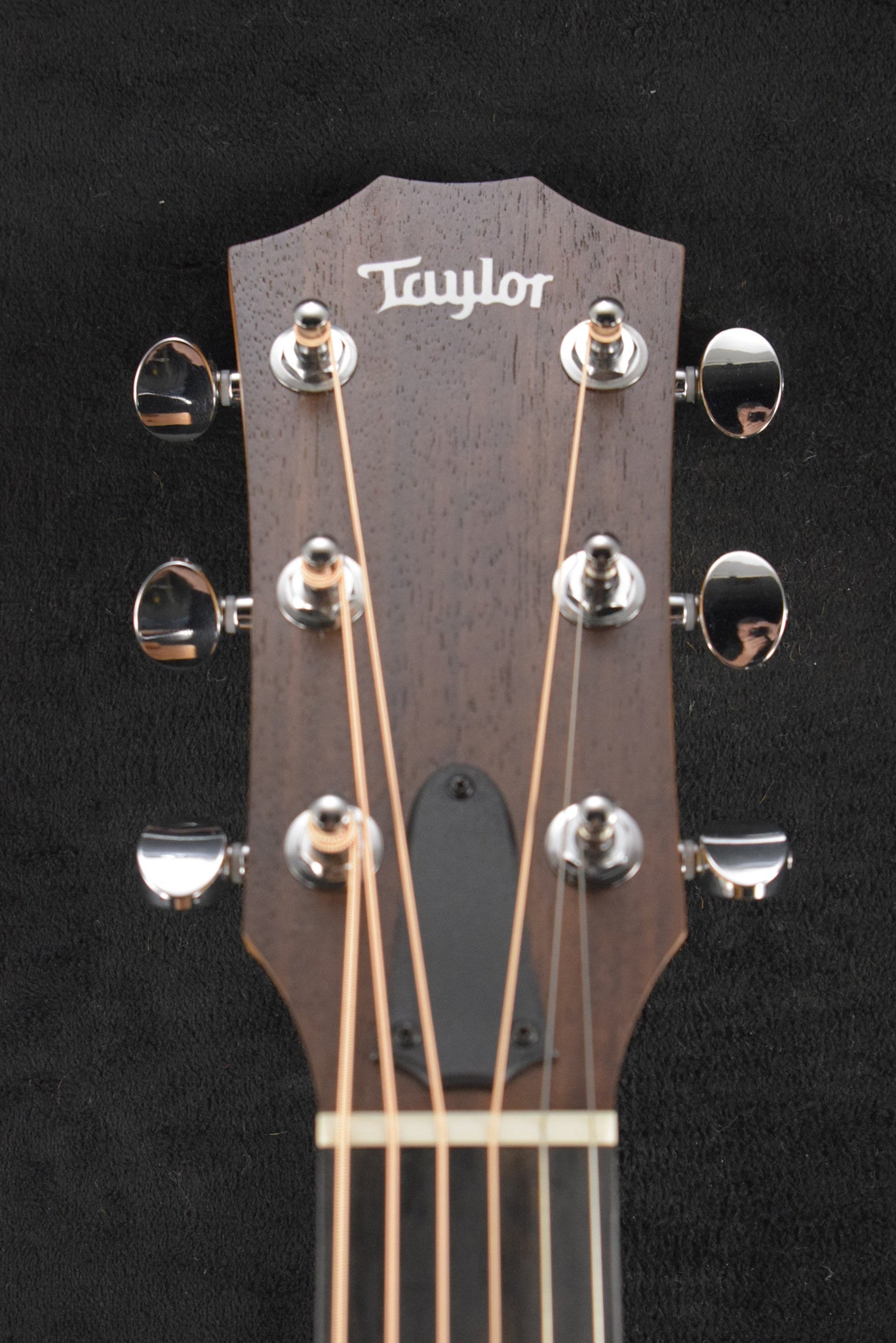 Taylor 24ce Mahogany Top Natural