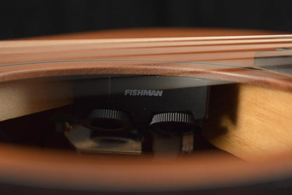 Taylor 24ce Mahogany Top Natural