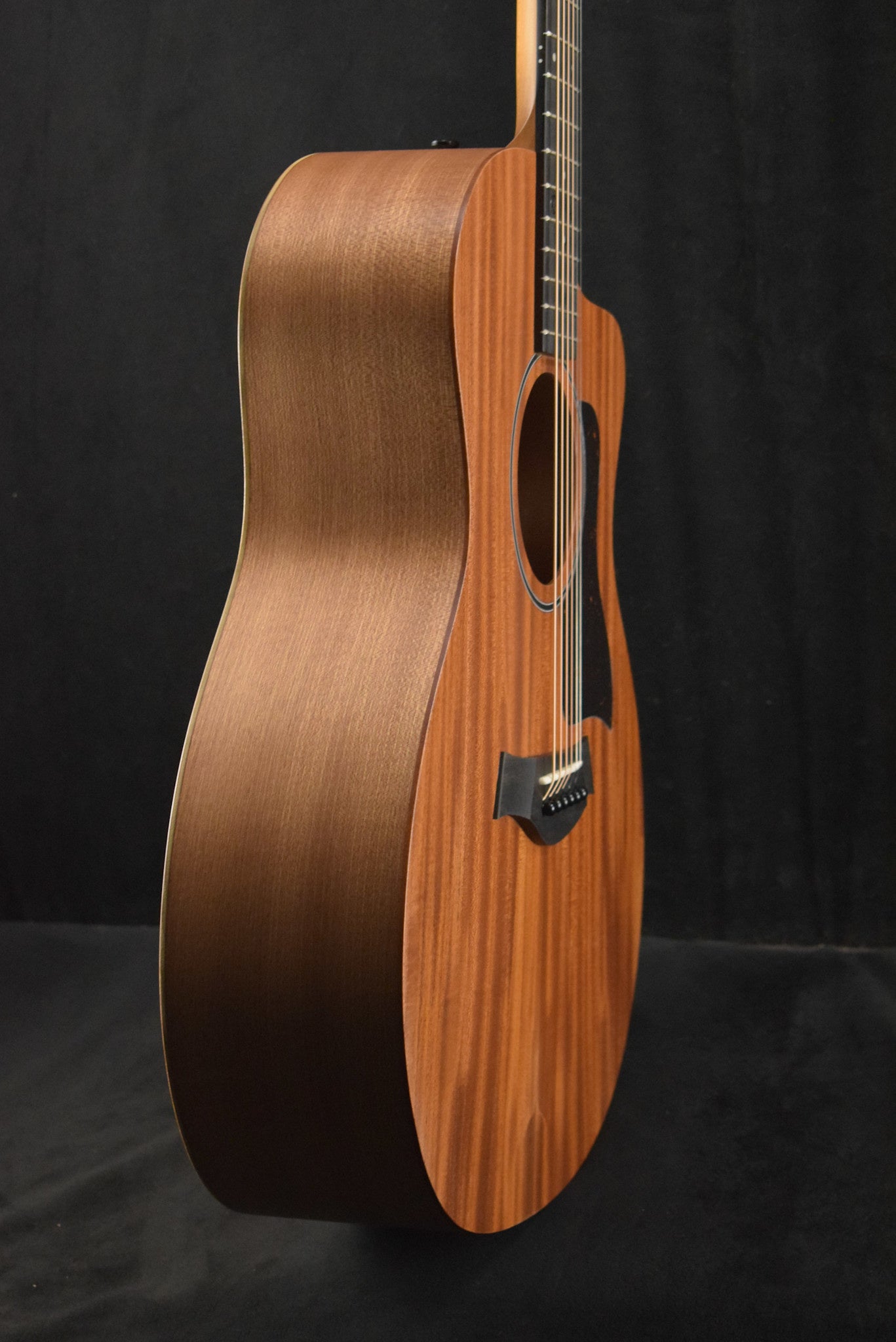 Taylor 24ce Mahogany Top Natural