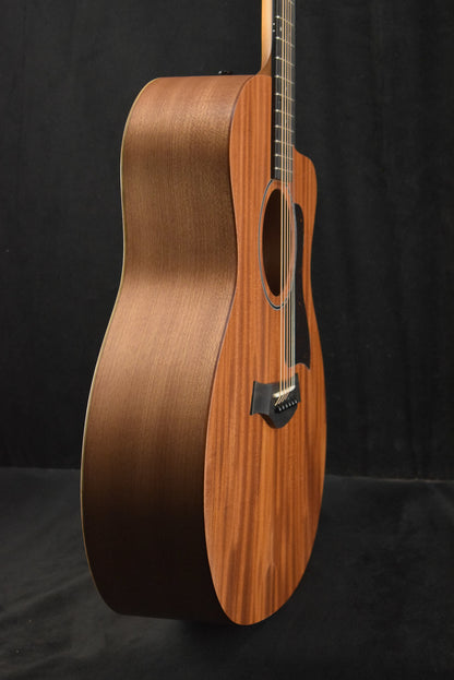 Taylor 24ce Mahogany Top Natural