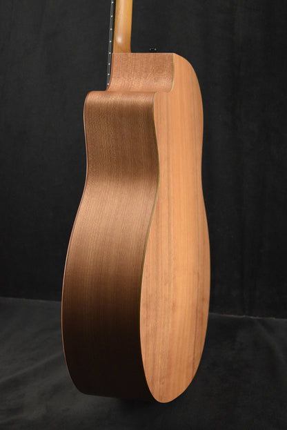 Taylor 24ce Mahogany Top Natural