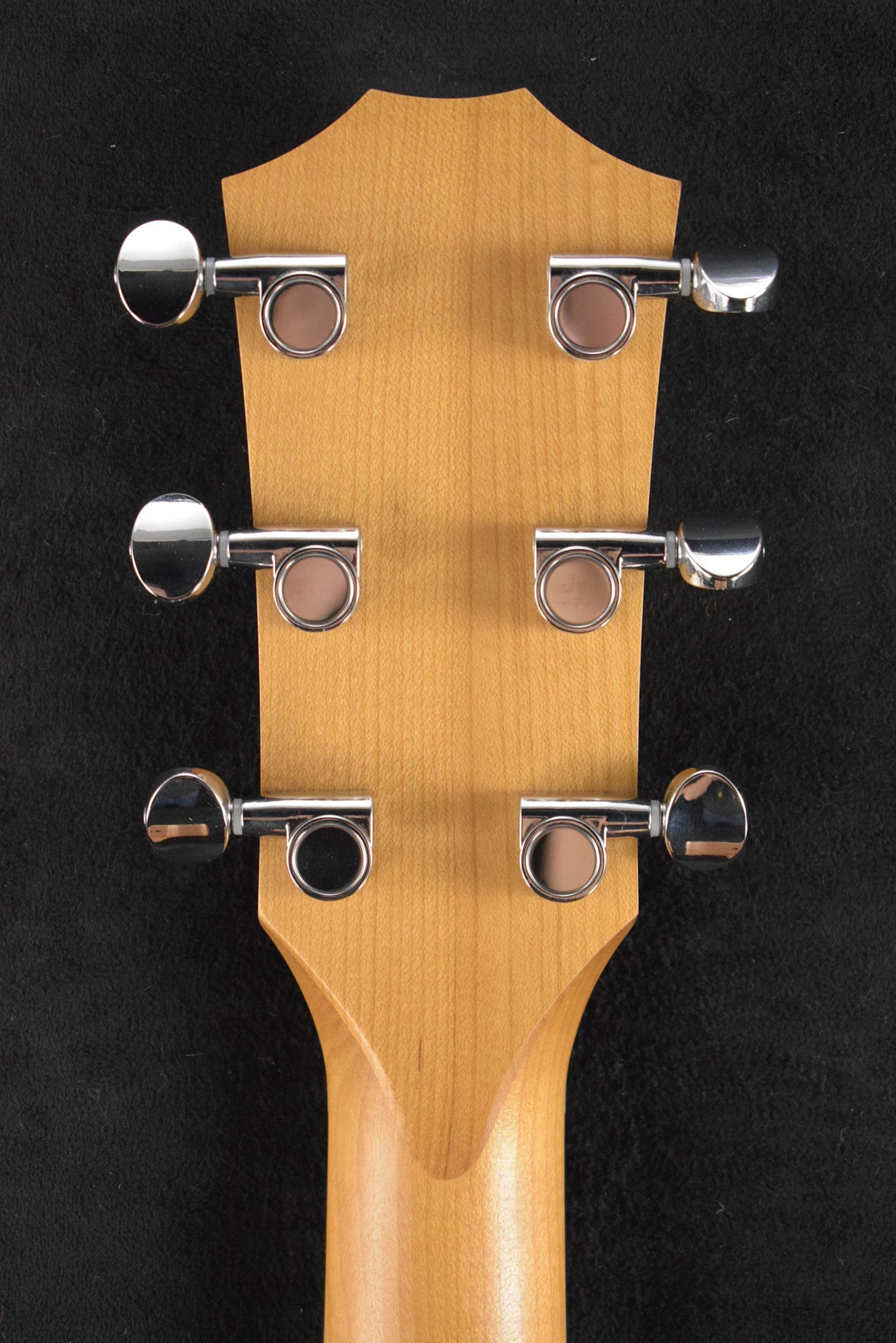 Taylor 24ce Mahogany Top Natural