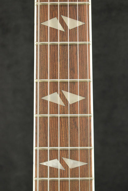 Epiphone Dave Grohl DG-335 Pelham Blue