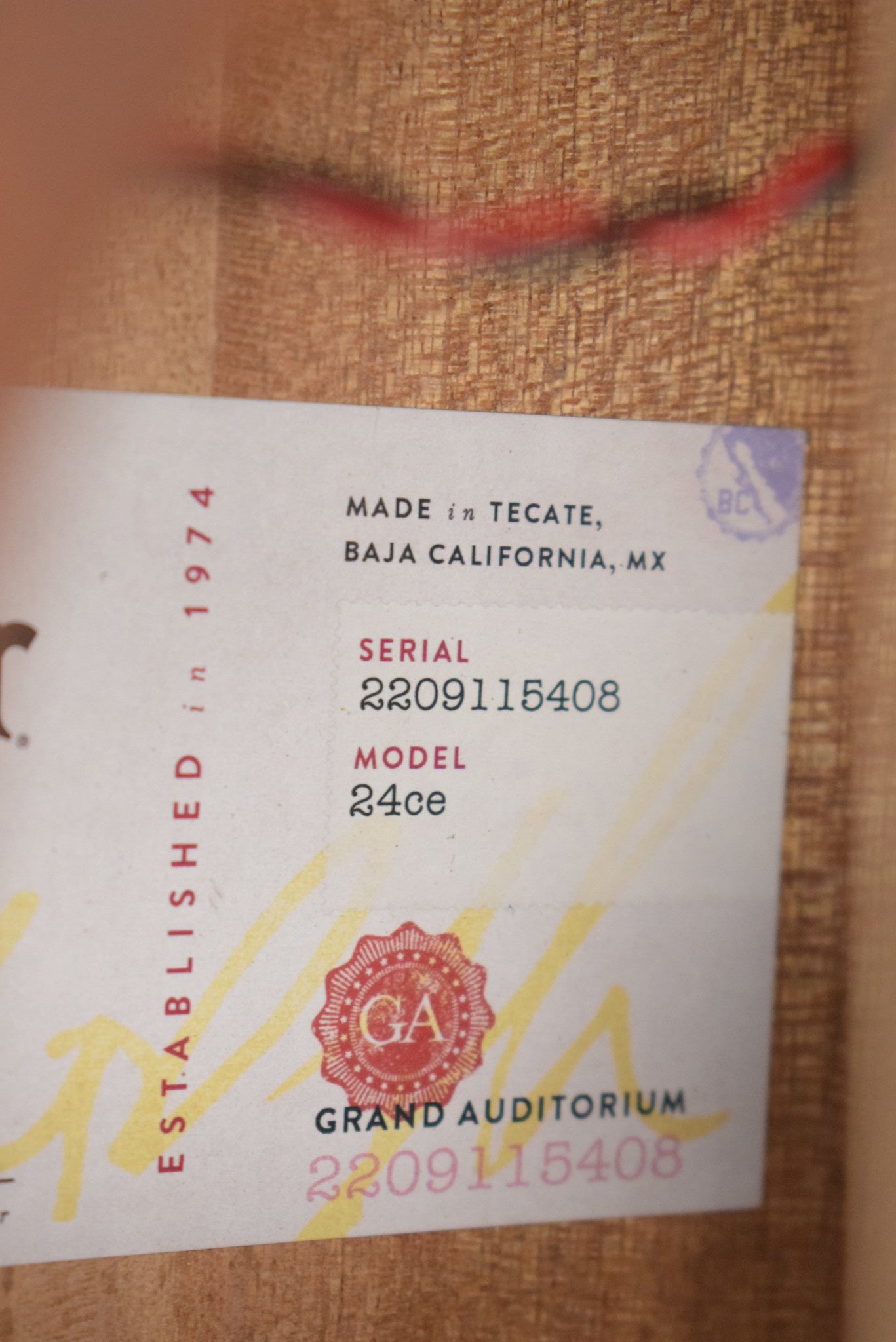 Taylor 24ce Mahogany Top Natural