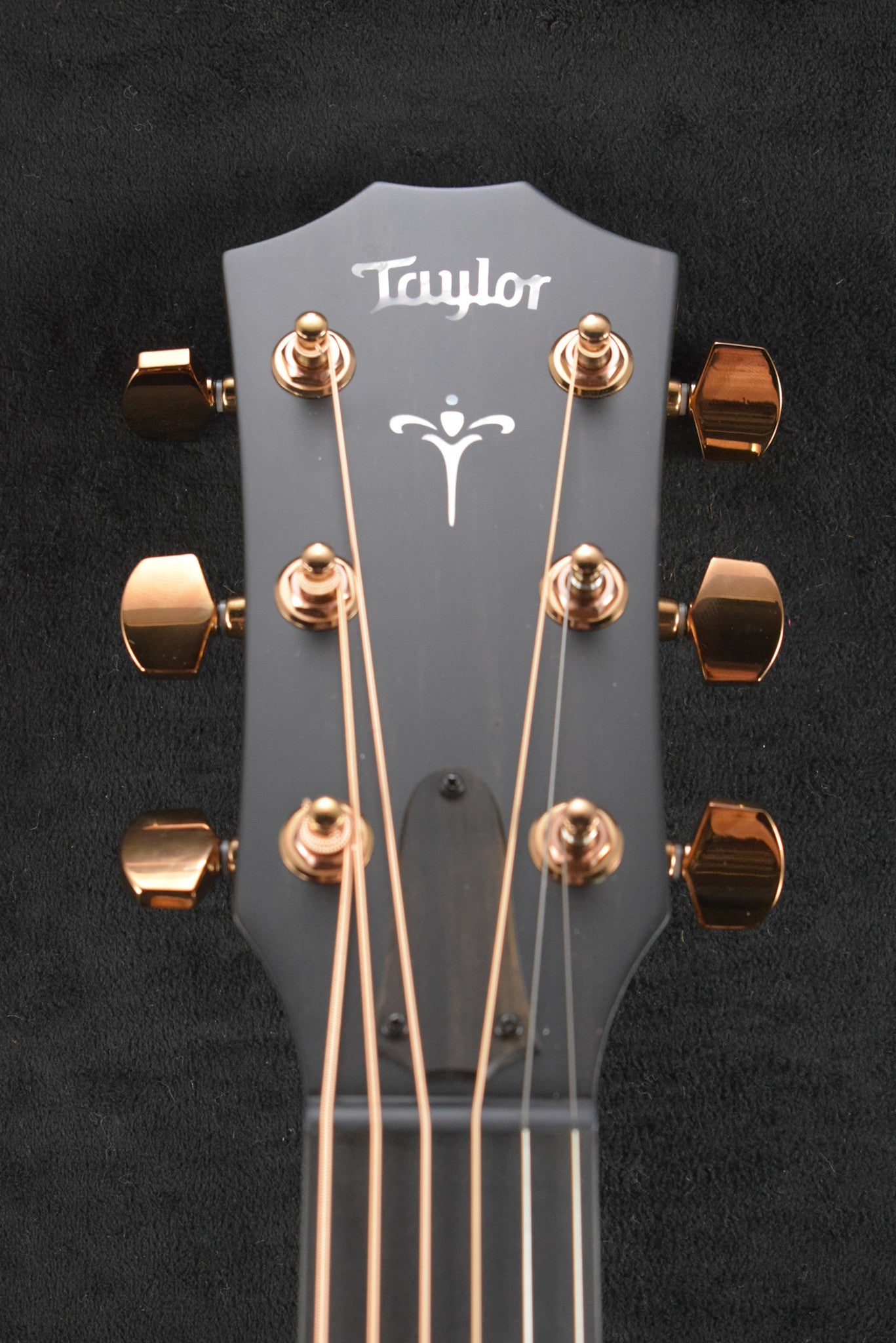 Taylor 724ce Natural Gloss