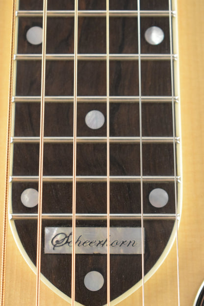 National Scheerhorn L-Body Rosewood Squareneck