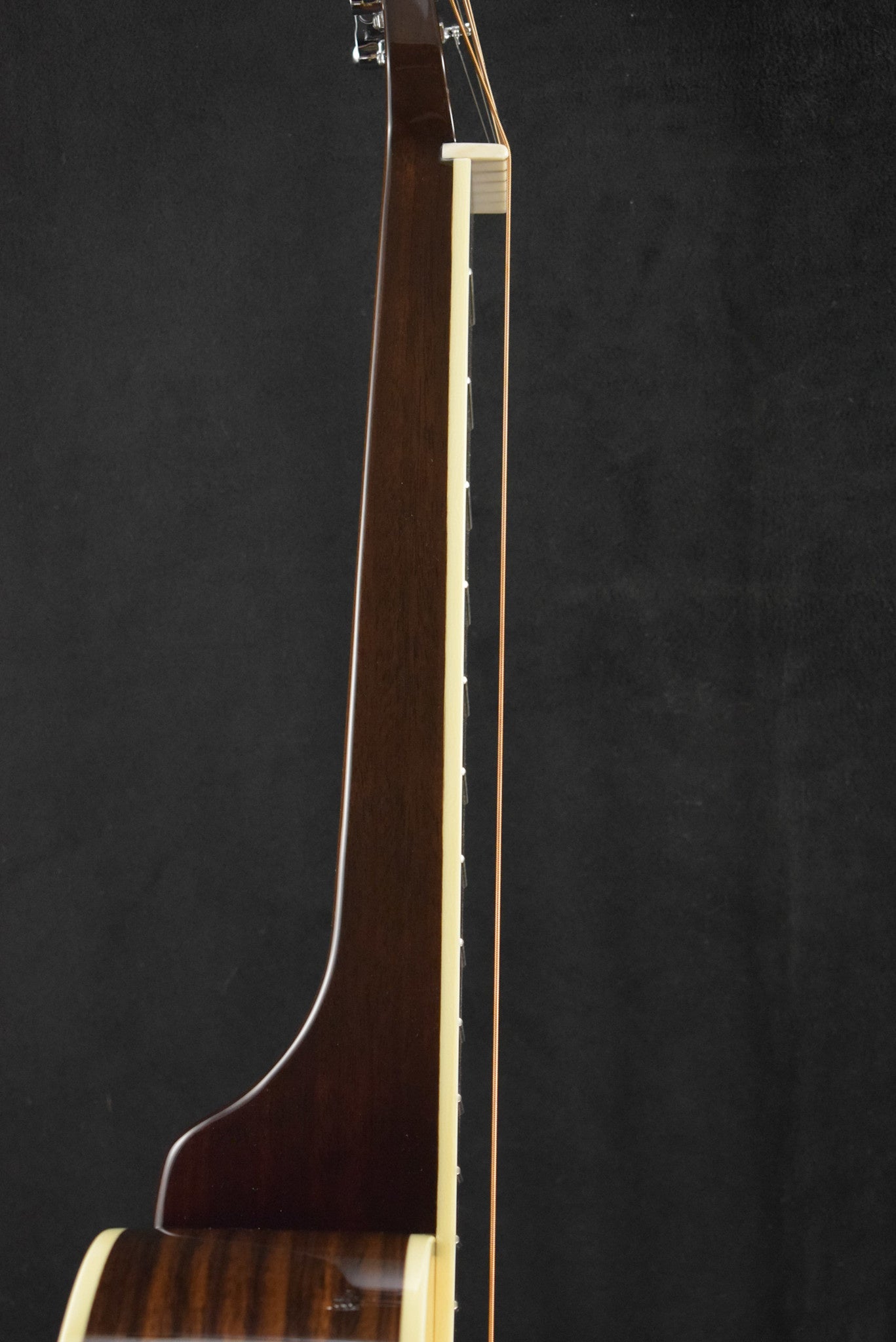 National Scheerhorn L-Body Rosewood Squareneck