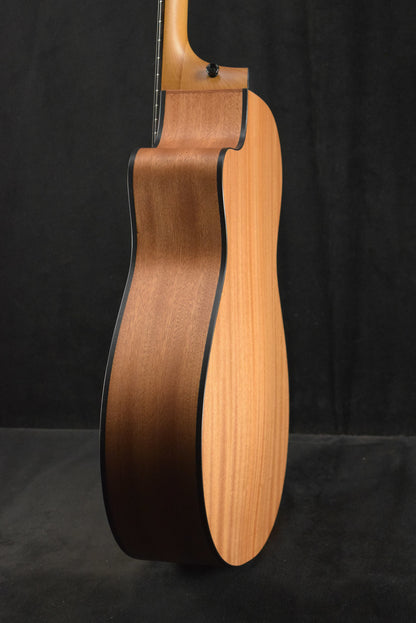 Taylor 112ce Sapele/Torrefied Spruce Natural