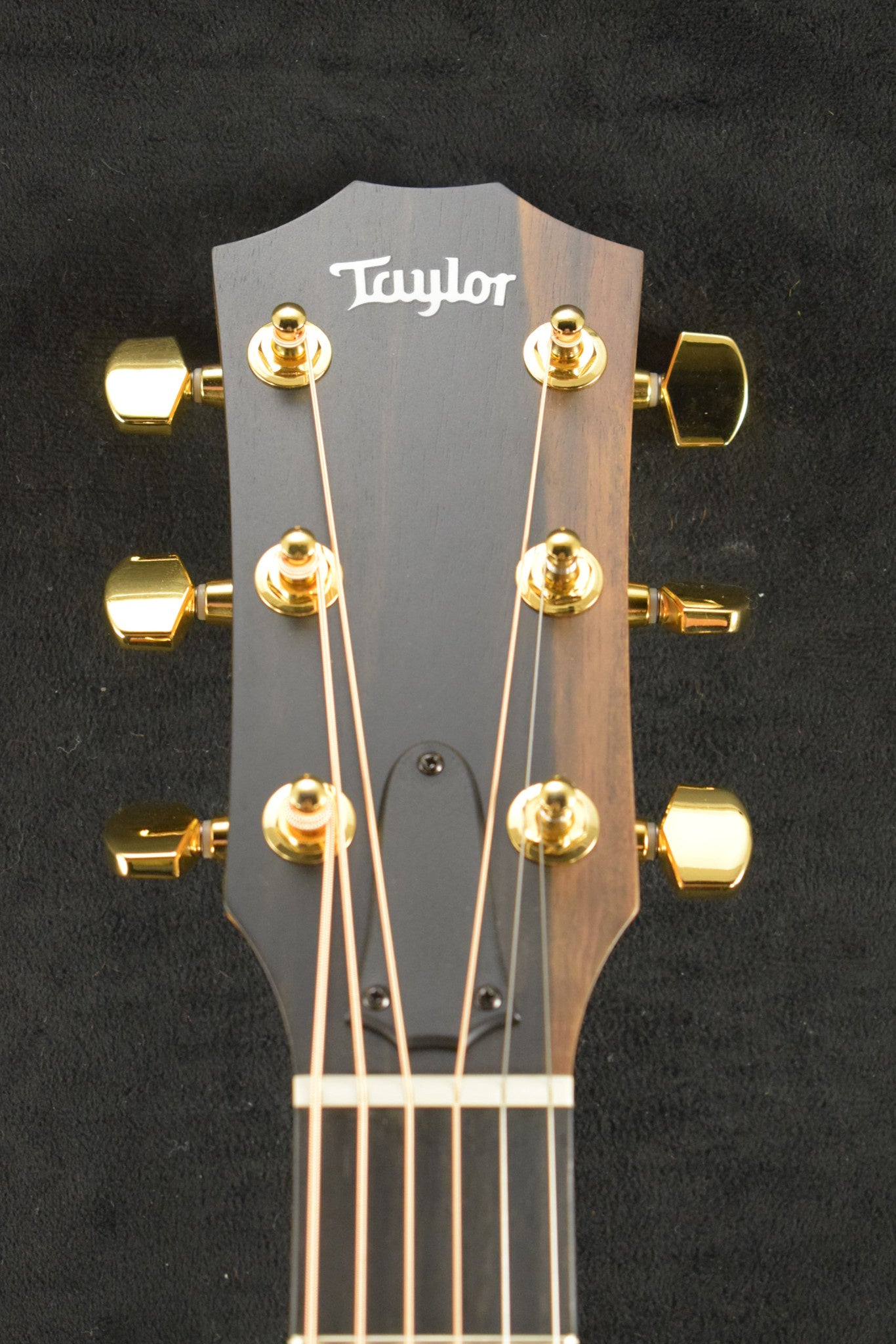 Taylor 224ce-K DLX Shaded Edgeburst