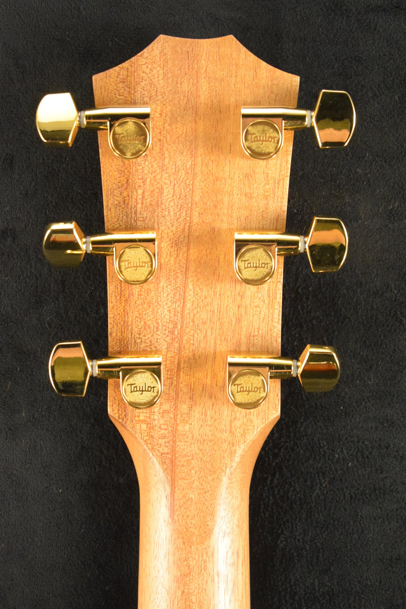 Taylor 224ce-K DLX Shaded Edgeburst