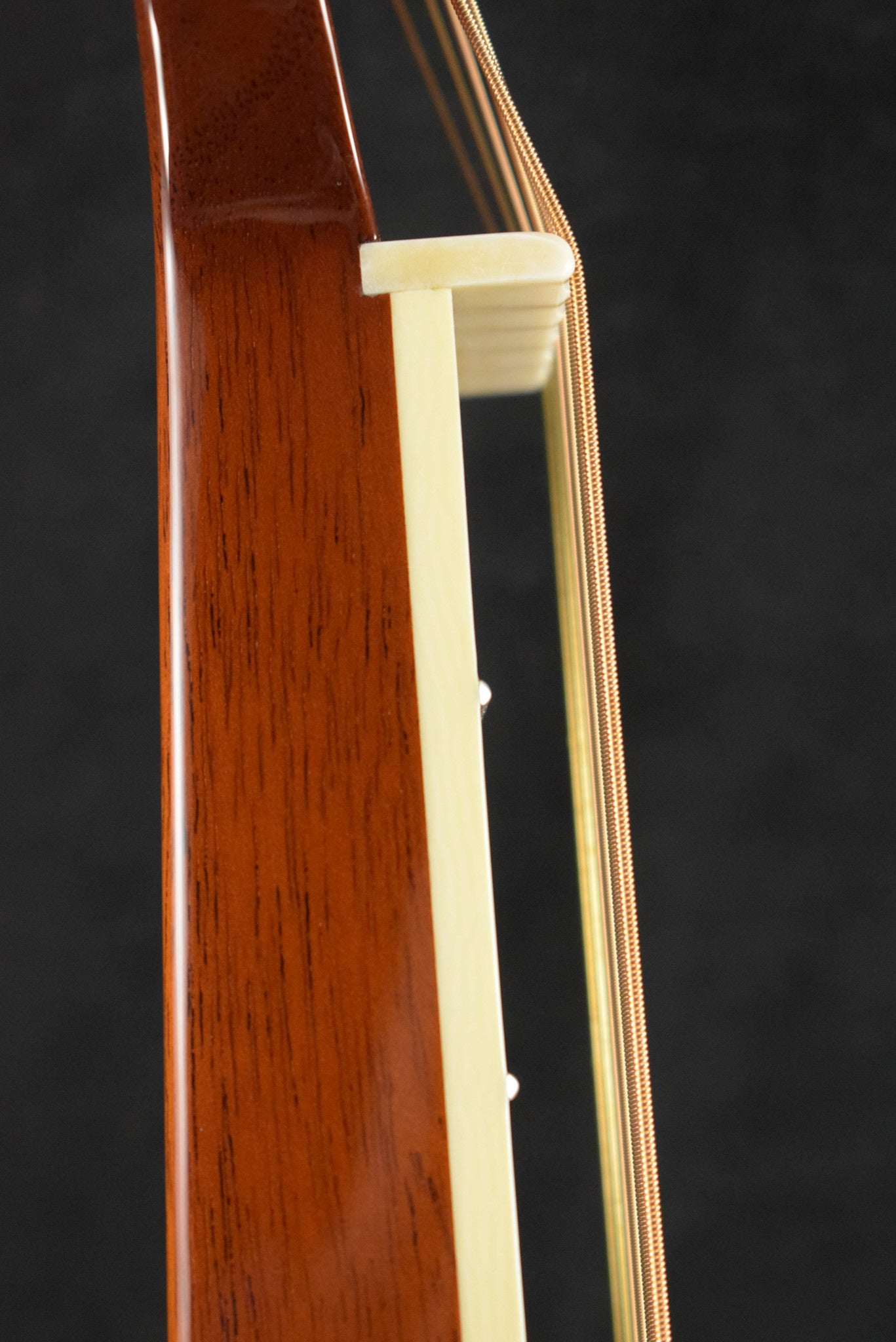 National Scheerhorn L-Body Square Neck Honduras Mahogany High Gloss Finish