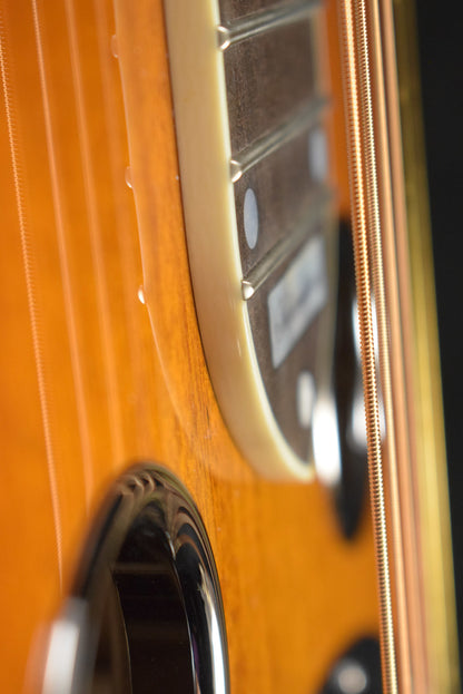 National Scheerhorn L-Body Square Neck Honduras Mahogany High Gloss Finish