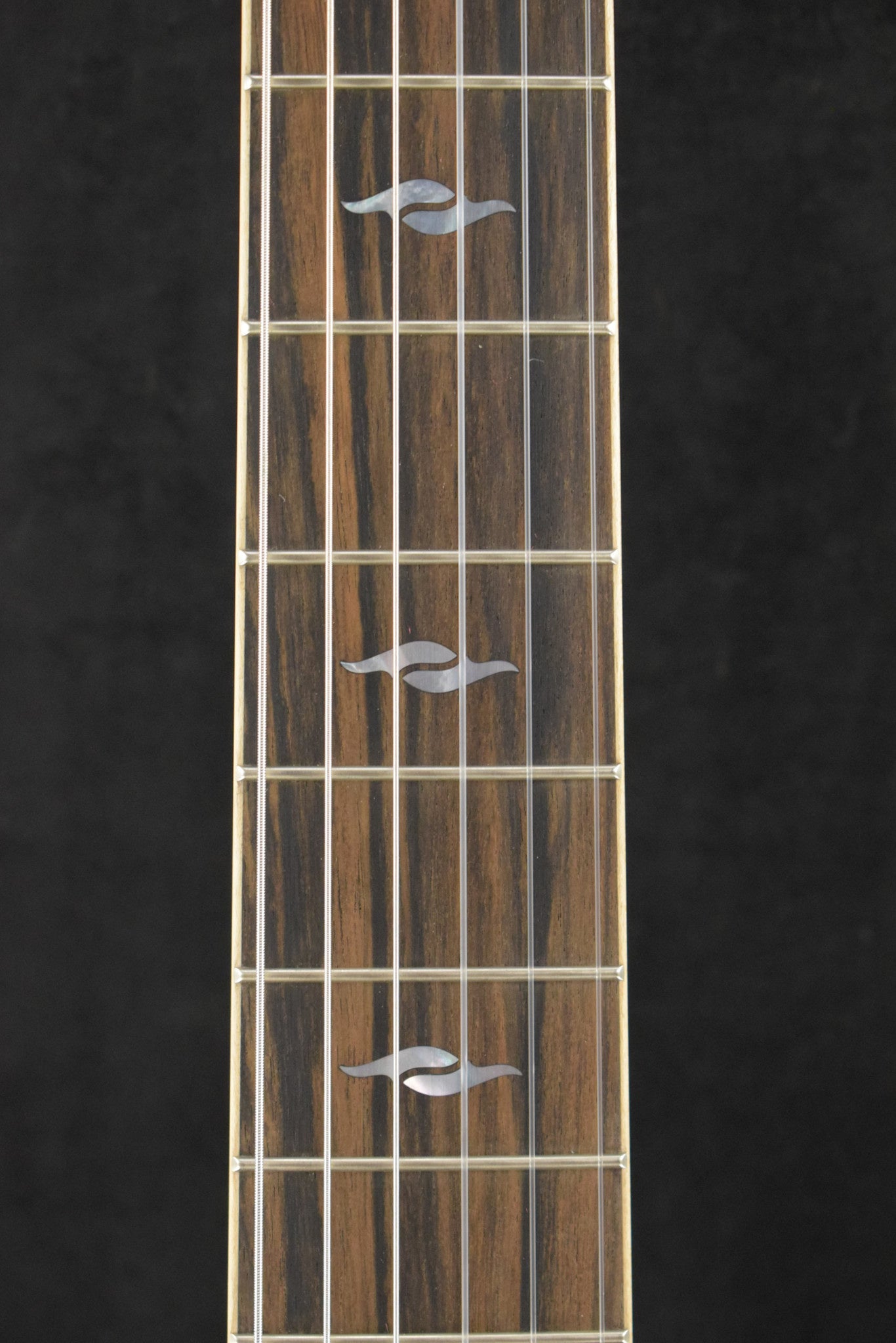 Taylor 814ce-N Nylon-String