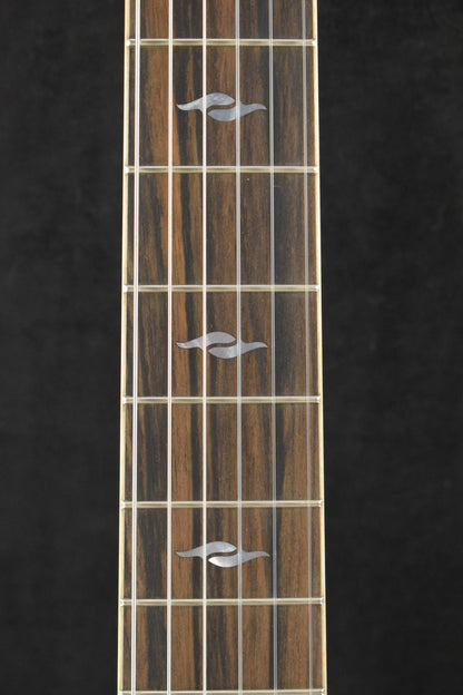 Taylor 814ce-N Nylon-String