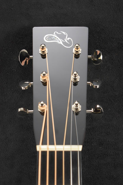 Santa Cruz Brad Paisley Pre War Dreadnought Indian Rosewood/German Bearclaw