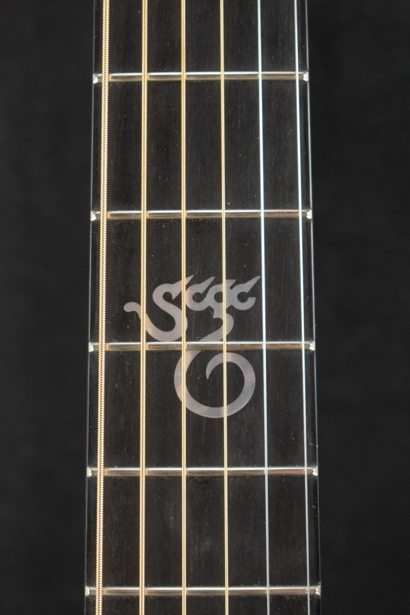 Santa Cruz Brad Paisley Pre War Dreadnought Indian Rosewood/German Bearclaw