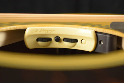 Martin M-6 Johnny Marr LR Baggs Anthem