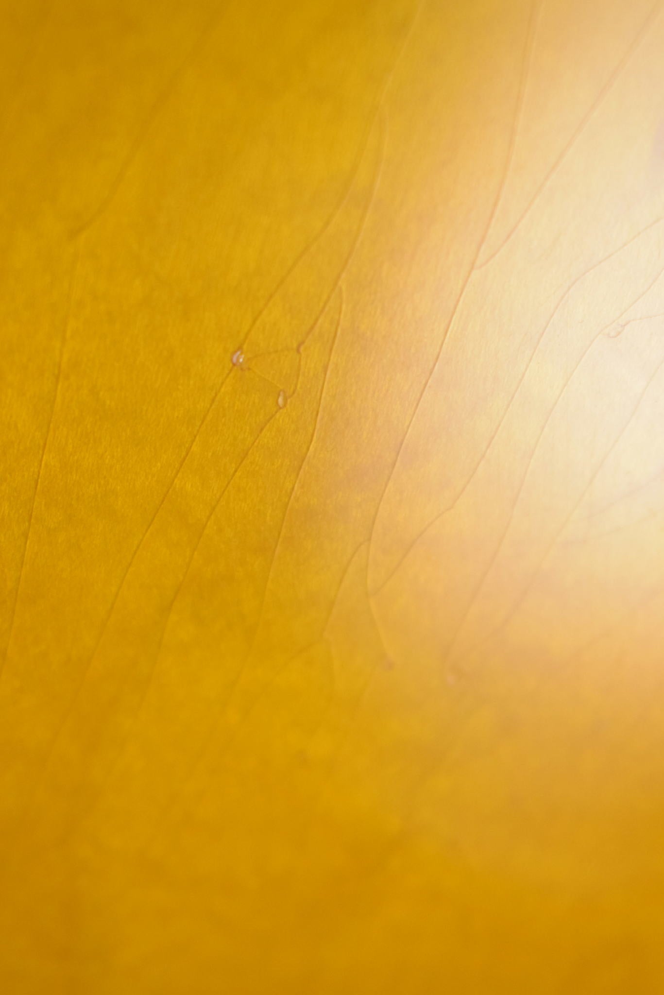 Gibson Murphy Lab 1958 ES-335 Reissue Dirty Blonde Heavy Aged