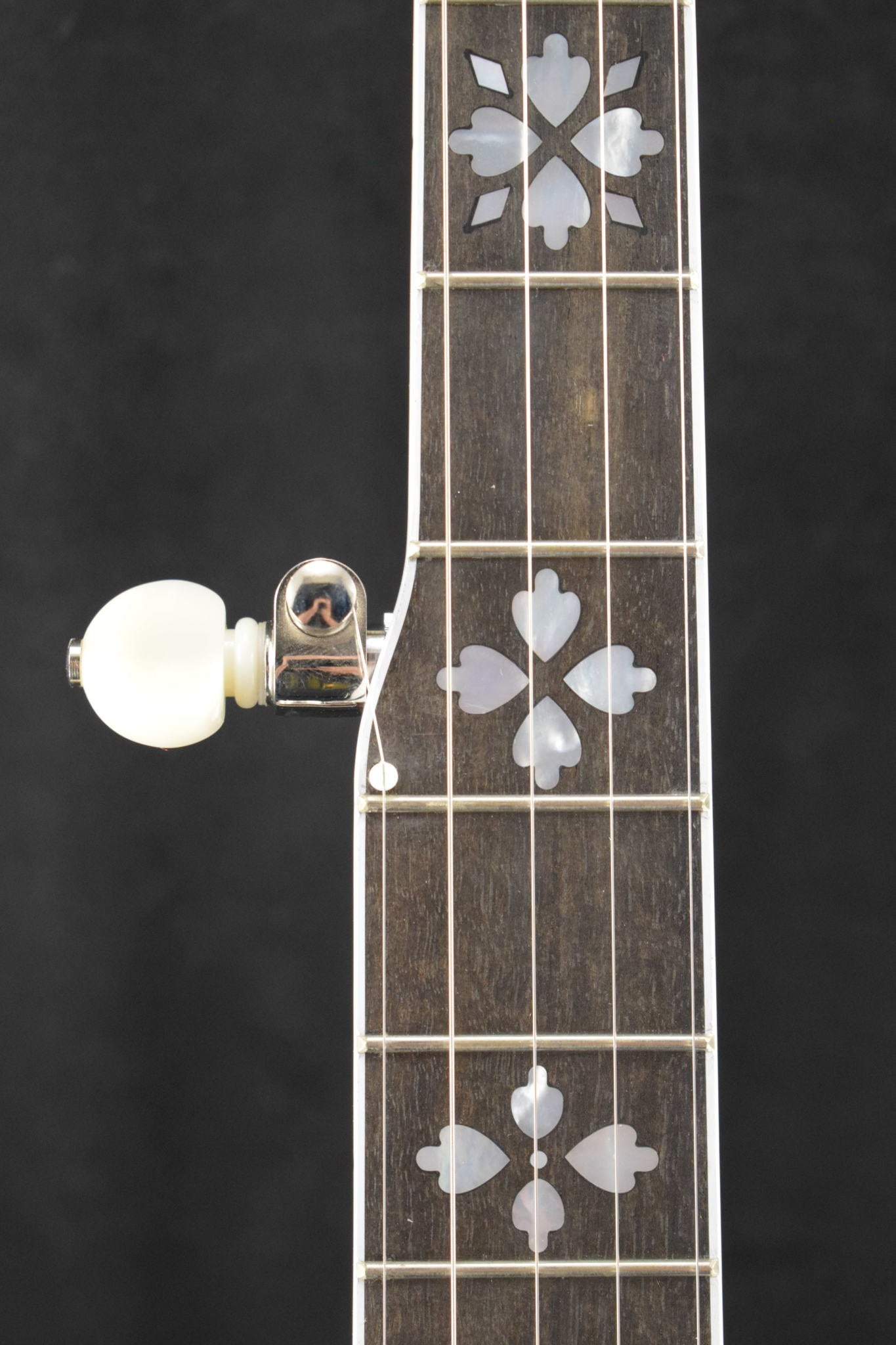 Deering Golden Era 5-String Maple Banjo