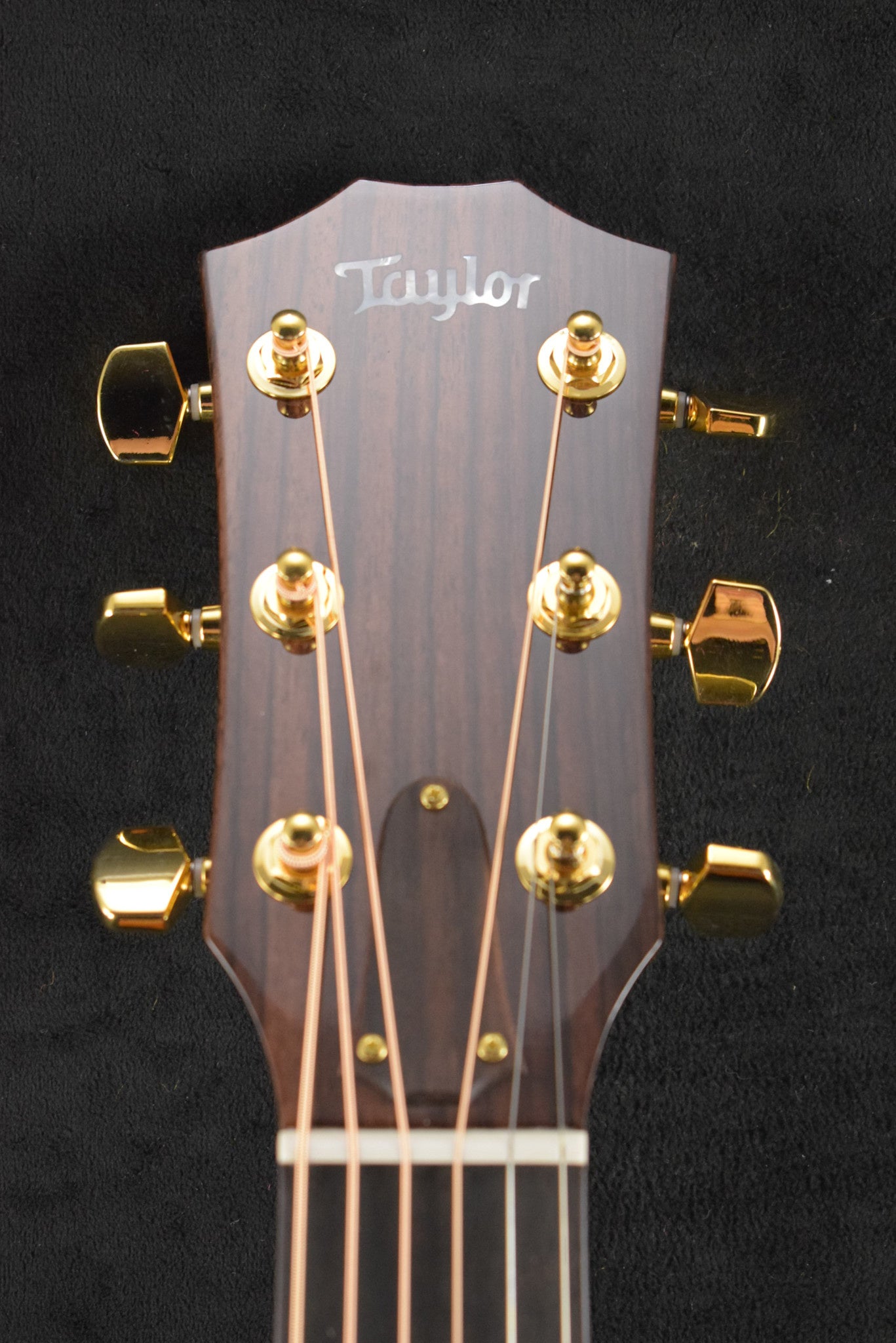 Taylor Legacy 514ce