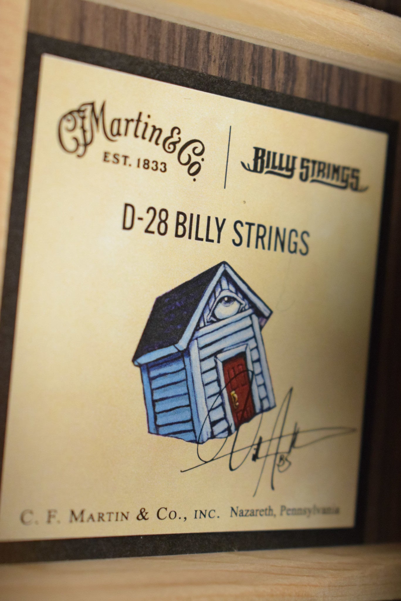 Martin D-28 Billy Strings