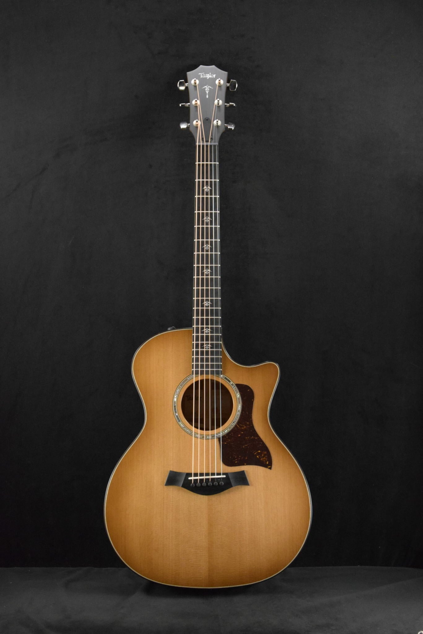 Taylor 514ce Urban Ironbark/Torrefied Sitka Spruce Shaded Edge Burst