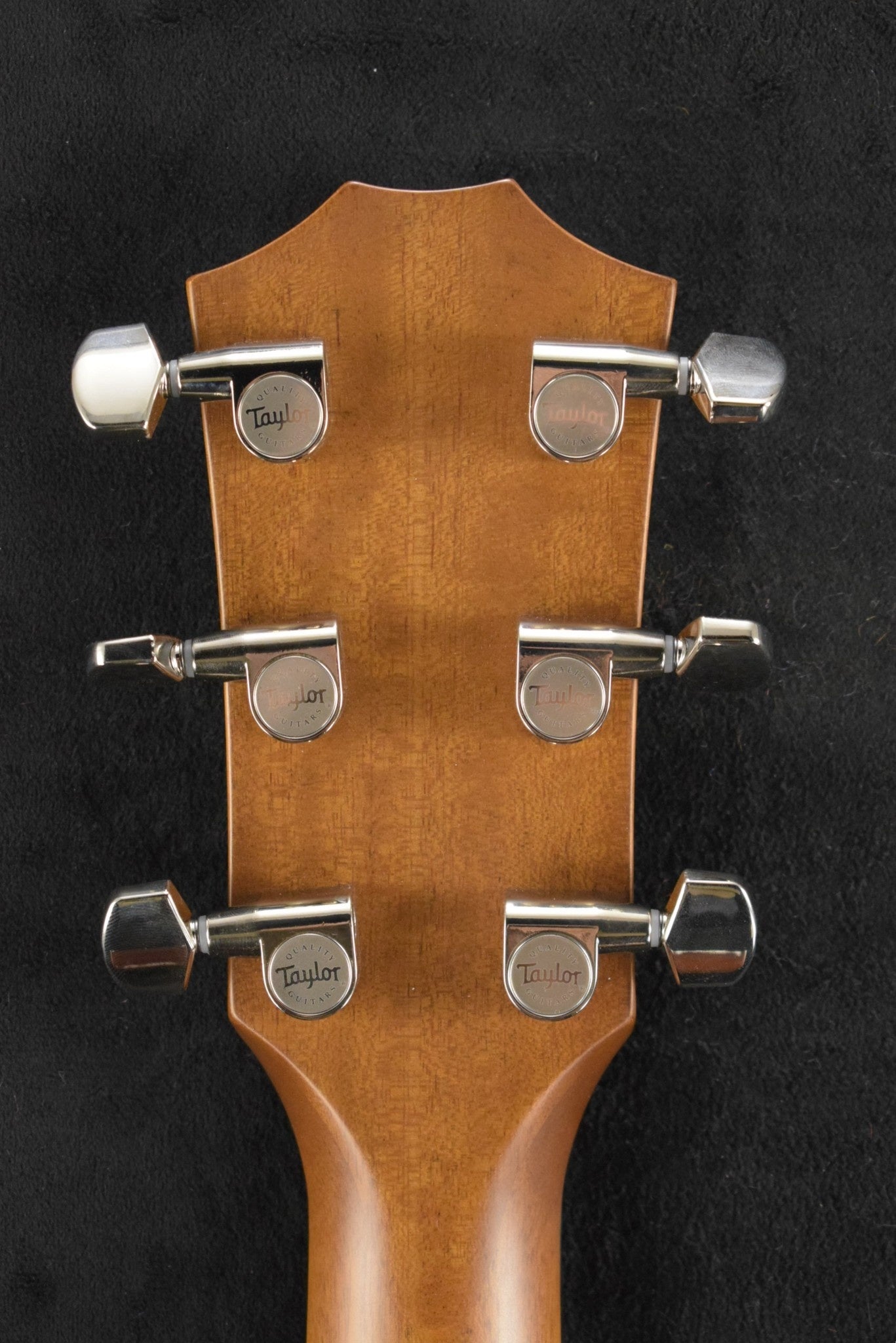 Taylor 514ce Urban Ironbark/Torrefied Sitka Spruce Shaded Edge Burst