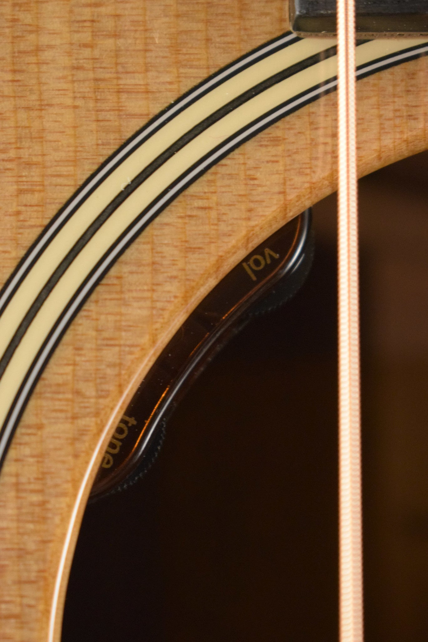 Taylor Gold Label 714e Natural