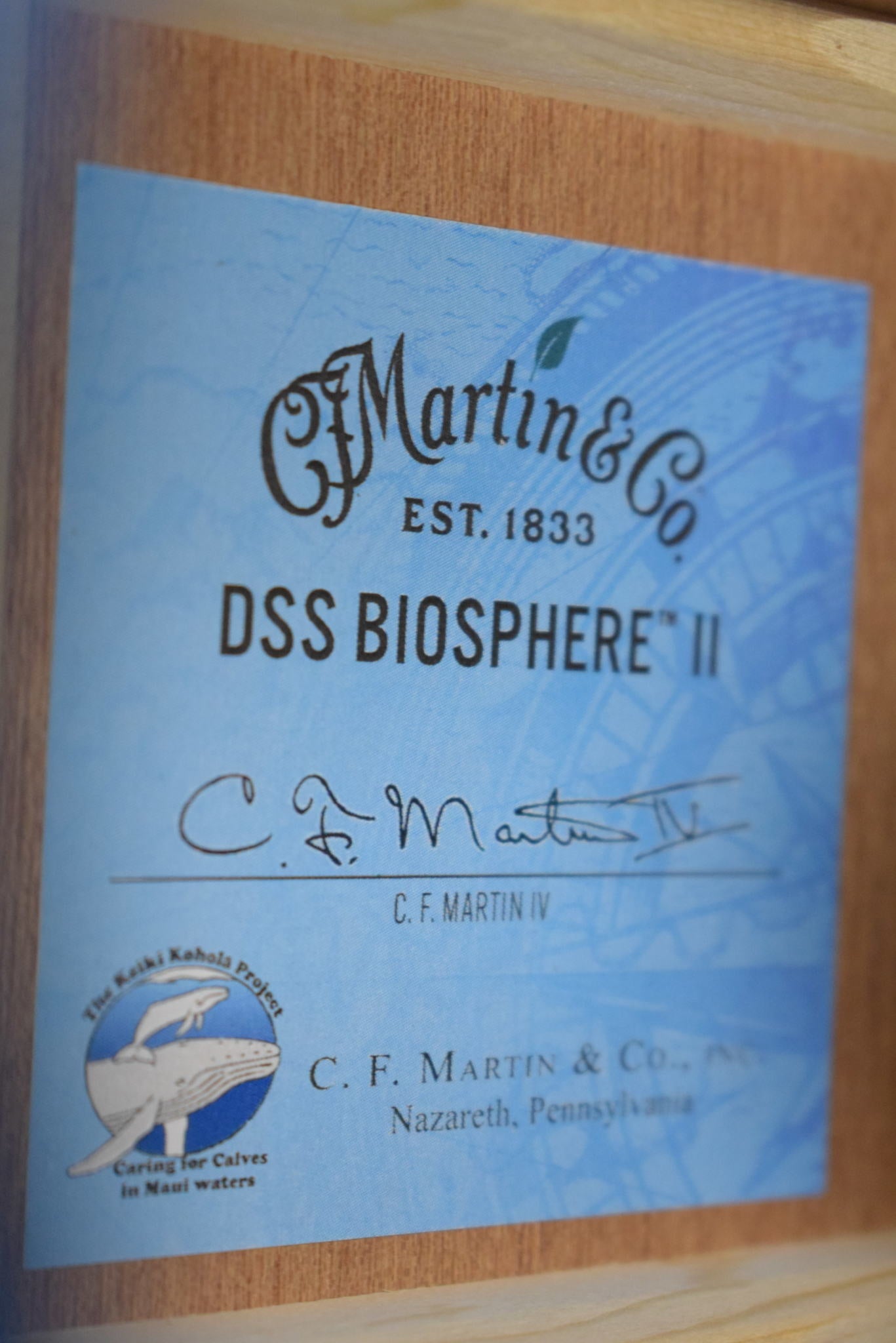 Martin DSS Biosphere® II Sloped-Shoulder Dreadnought