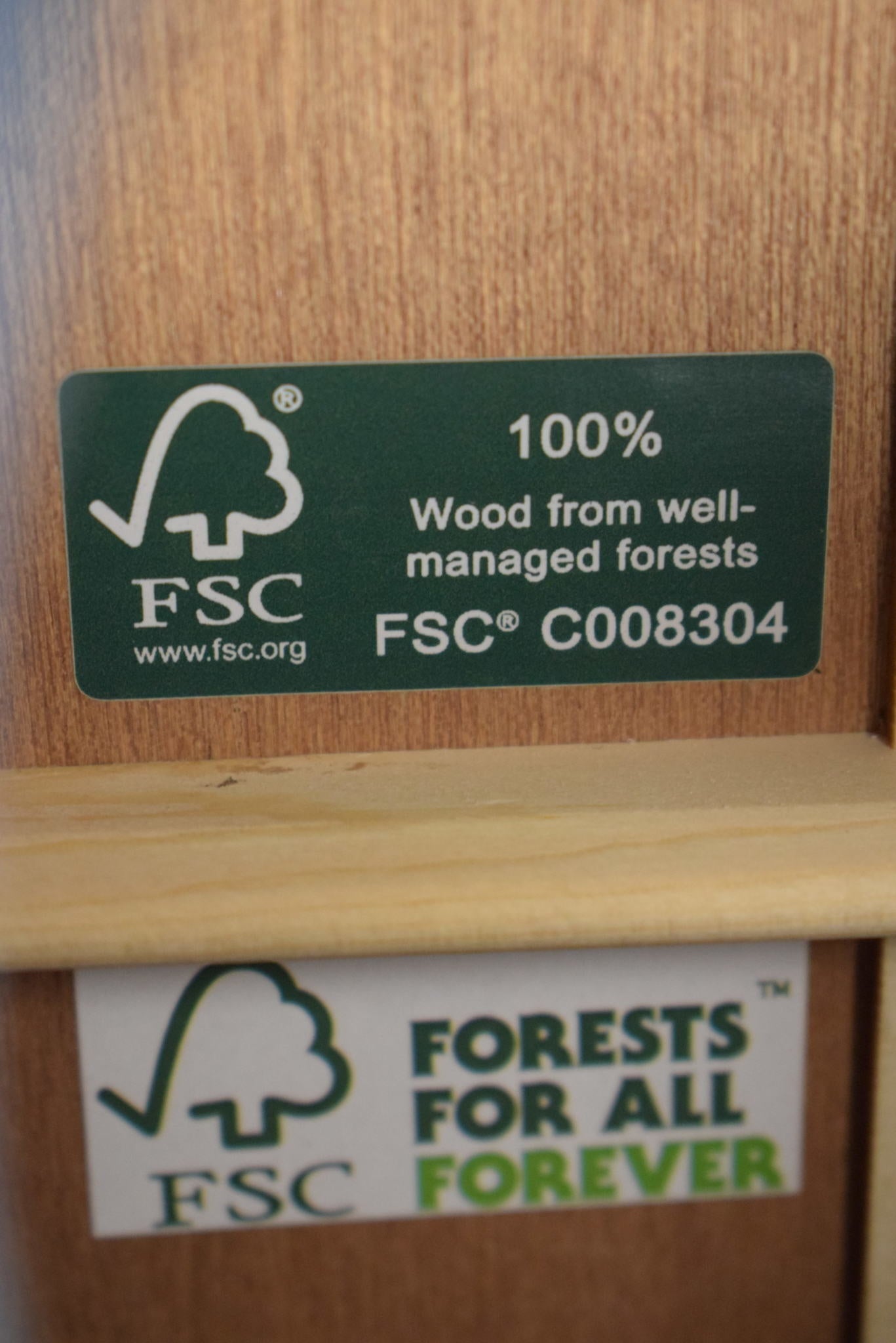 Martin DSS Biosphere® II Sloped-Shoulder Dreadnought